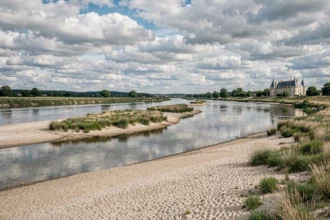 Vue panoramique du fleuve Loire avec ses bancs de sable et un château en arrière-plan